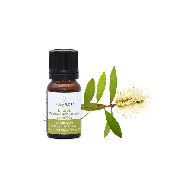 ALMAFLORE HUILE ESSENTIELLE DE NIAOULI 10ML