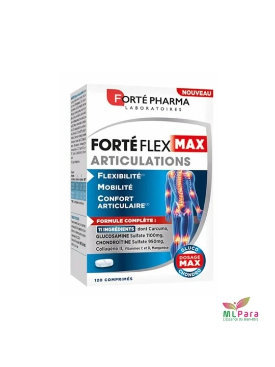 FORTE PHARMA FORTE FLEX MAX ARTICULATIONS 120CPS